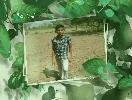 BRAIN DEVELOPMENT ACTIVITY T VIGNESH IX PSLV