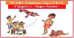 NCERT Class5 EVS Chapter1 Super Senses (Part1)