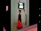 Domestic Animals- Hemasree -UKG-Aug 16