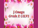 KAALACHUVADUGAL J Omega Grade X GSLV1