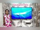 A  Mauriya  Ukg Disney Topic SEA ANIMALS