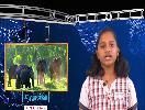 TODAY'S TAMIL NEWS MAR 4 BY JANAVI V GRADE VIII