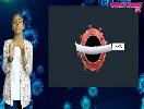 Coronavirus Details Explanation RT-PCR Test - Amrutha, Sandhya,Dhivyasankari - VirutchamTV