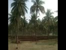 ஐந்தாம் வகுப்பு.இயல்1 என்ன சத்தம்....(துணைப்பாடம்)