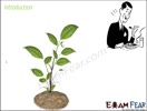 Grade:VII Science  ch:1 Nutrition in plants