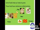 GRADE ll : EVS - Our food 