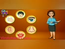 General Awareness  _ parts of the body