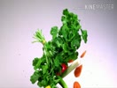 MOKSHIKA. S from Grade-I Alpha - Benefits of fruits