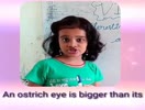interesting facts - m. haritha - 4th chakra
